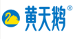 黄天鹅
